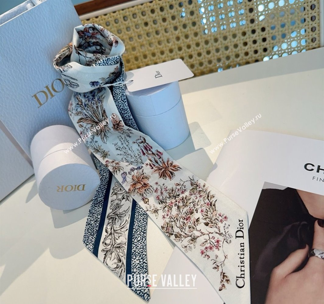 Dior Mitzah Silk Bandeau Scarf Blue 2025 DR03193 (XMN-250319009)