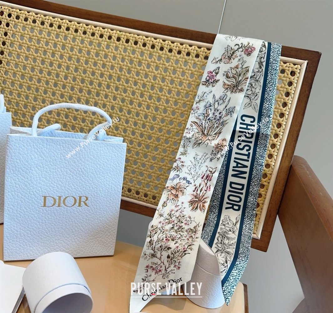 Dior Mitzah Silk Bandeau Scarf Blue 2025 DR03193 (XMN-250319009)