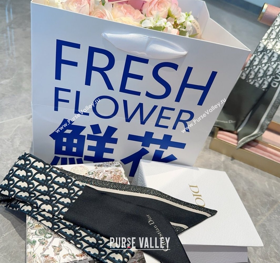 Dior Montaigne Mitzah Silk Bandeau Scarf 6x105cm Black 2025 DR03196 (XMN-250319015)