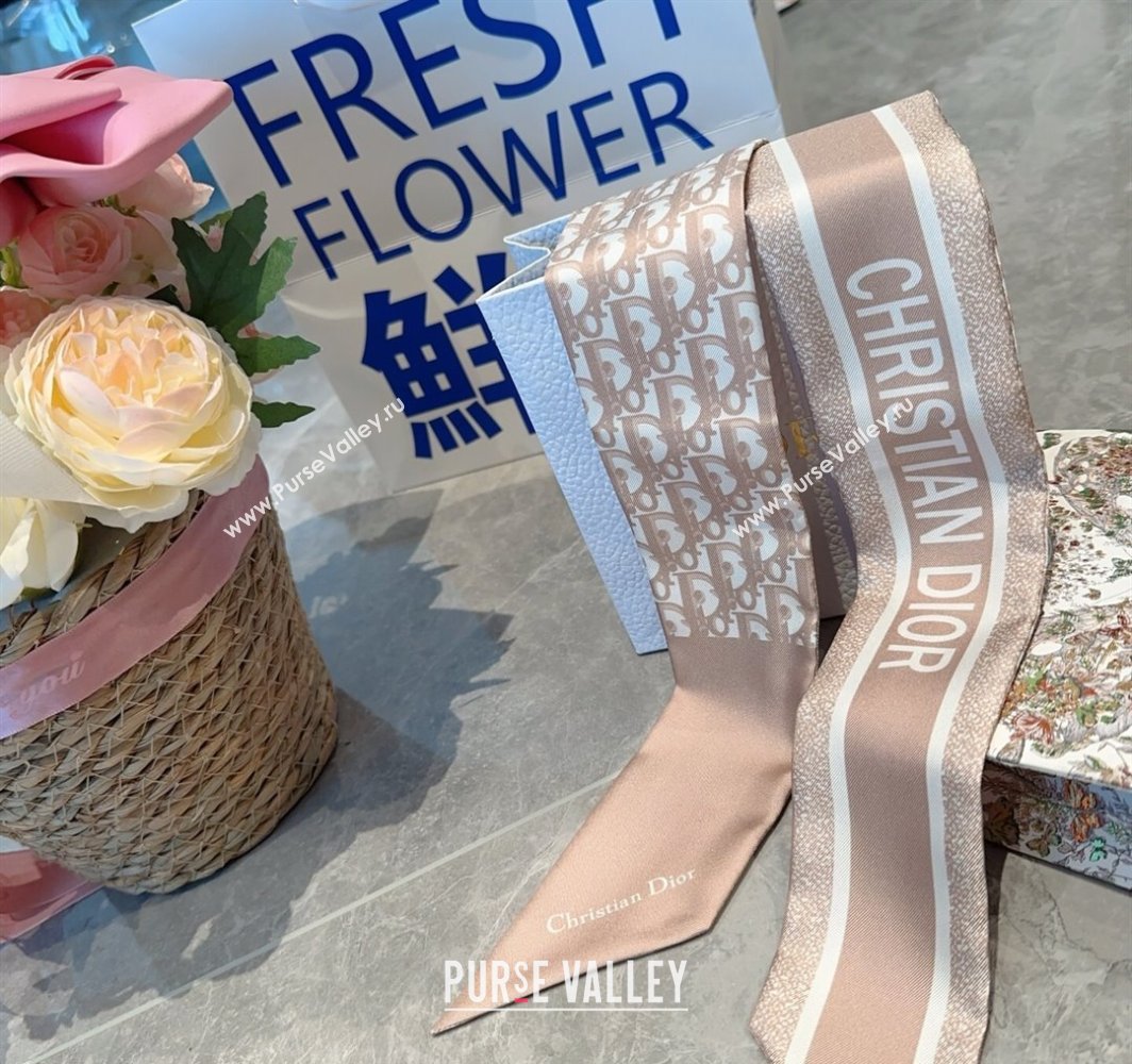 Dior Montaigne Mitzah Silk Bandeau Scarf 6x105cm Pink 2025 DR03196 (XMN-250319016)