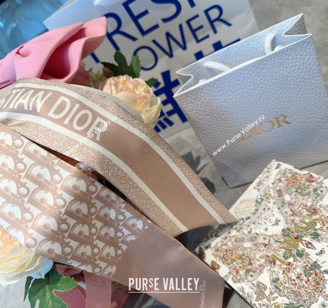 Dior Montaigne Mitzah Silk Bandeau Scarf 6x105cm Pink 2025 DR03196 (XMN-250319016)