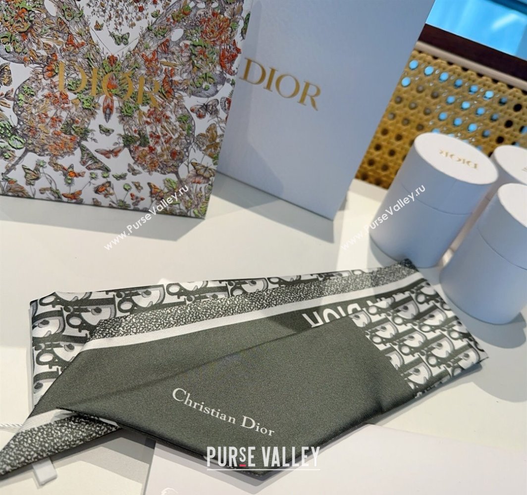 Dior Montaigne Mitzah Silk Bandeau Scarf 6x105cm Green 2025 DR03196 (XMN-250319017)