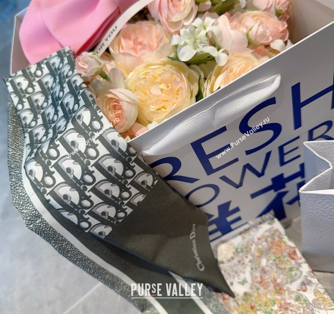 Dior Montaigne Mitzah Silk Bandeau Scarf 6x105cm Green 2025 DR03196 (XMN-250319017)