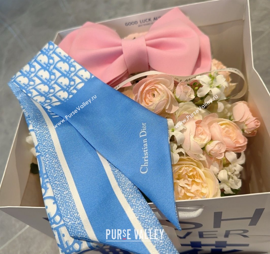 Dior Montaigne Mitzah Silk Bandeau Scarf 6x105cm Blue 2025 DR03196 (XMN-250319018)