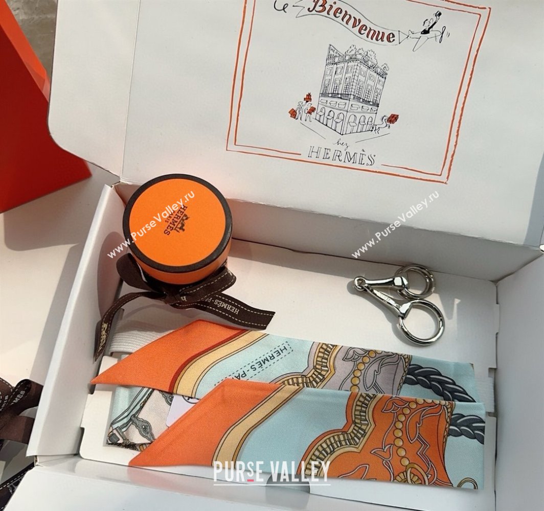 Hermes Feast Silk Twilly Bandeau Scarf 5x86cm Orange/Blue 2025 HS03184 (XMN-250318107)