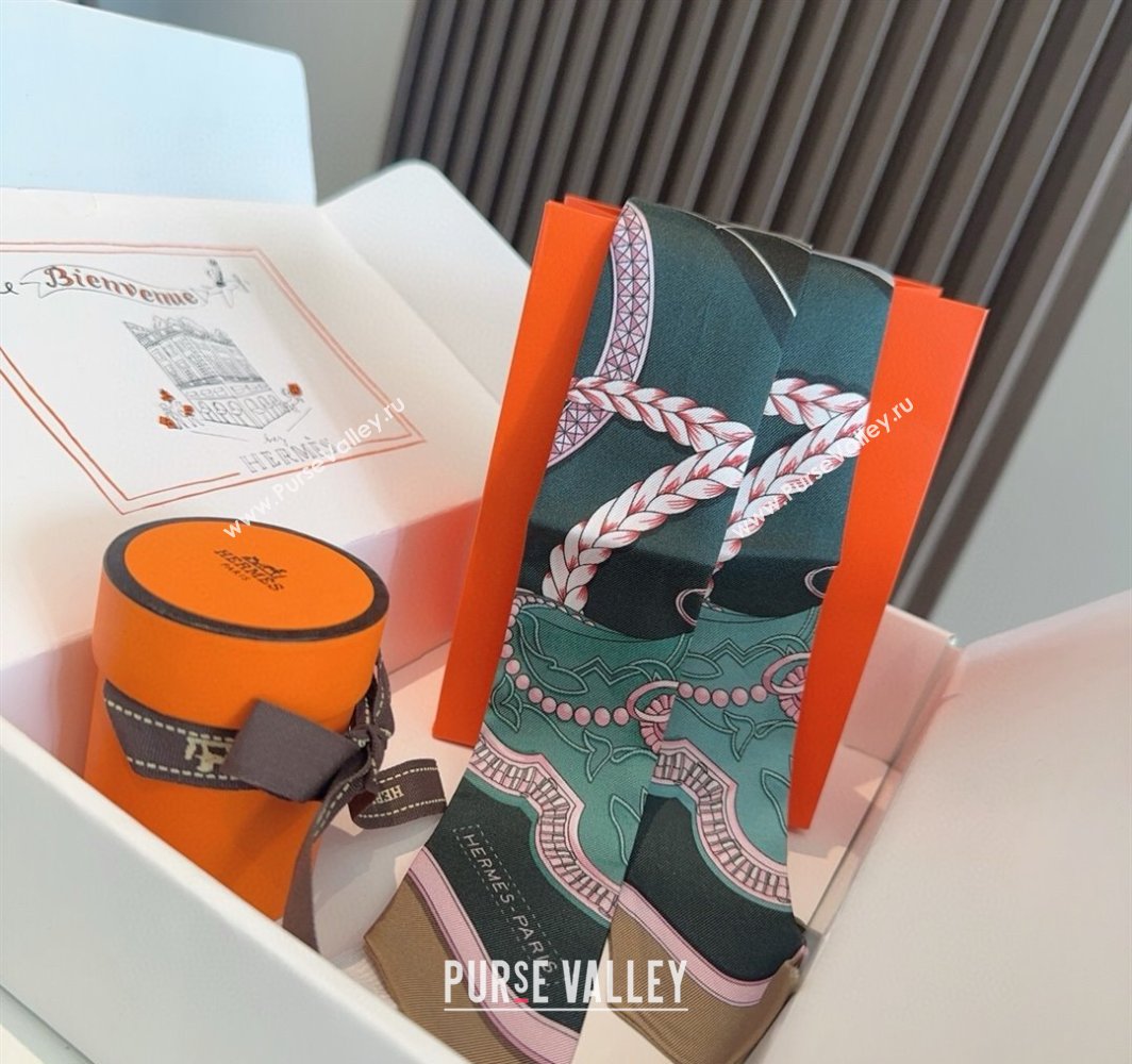 Hermes Feast Silk Twilly Bandeau Scarf 5x86cm Grey 2025 HS03184 (XMN-250318103)