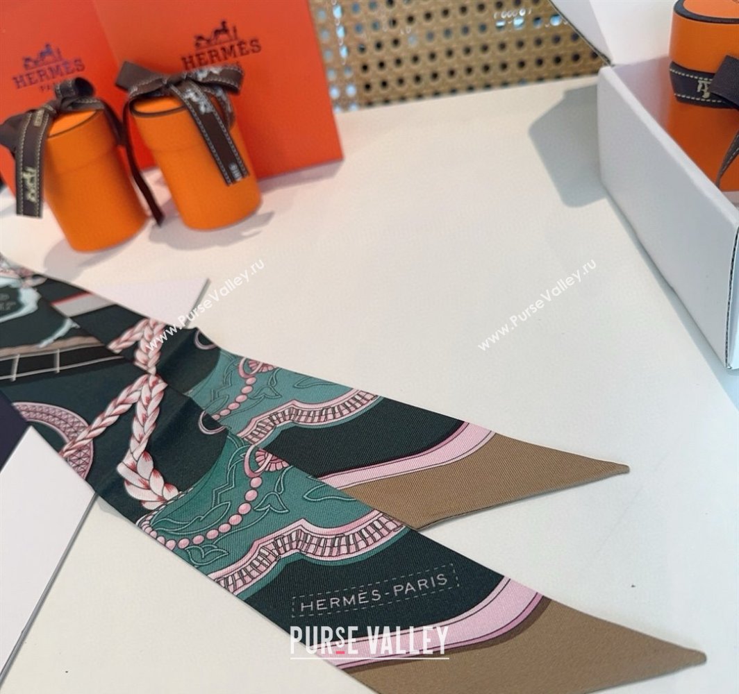 Hermes Feast Silk Twilly Bandeau Scarf 5x86cm Grey 2025 HS03184 (XMN-250318103)