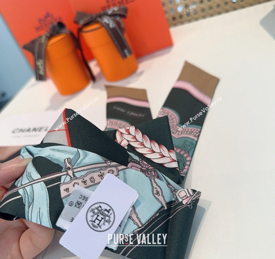 Hermes Feast Silk Twilly Bandeau Scarf 5x86cm Grey 2025 HS03184 (XMN-250318103)