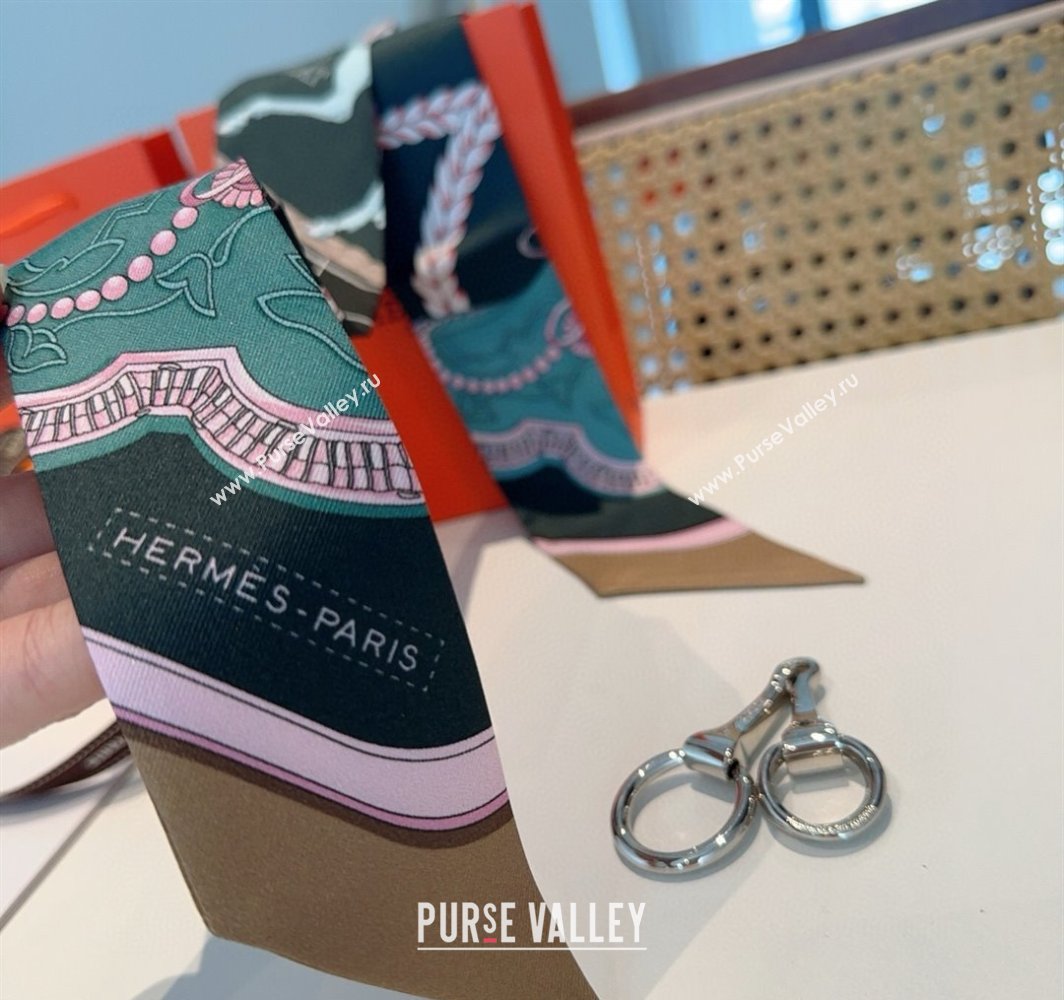 Hermes Feast Silk Twilly Bandeau Scarf 5x86cm Grey 2025 HS03184 (XMN-250318103)