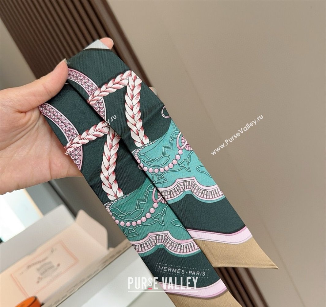 Hermes Feast Silk Twilly Bandeau Scarf 5x86cm Grey 2025 HS03184 (XMN-250318103)