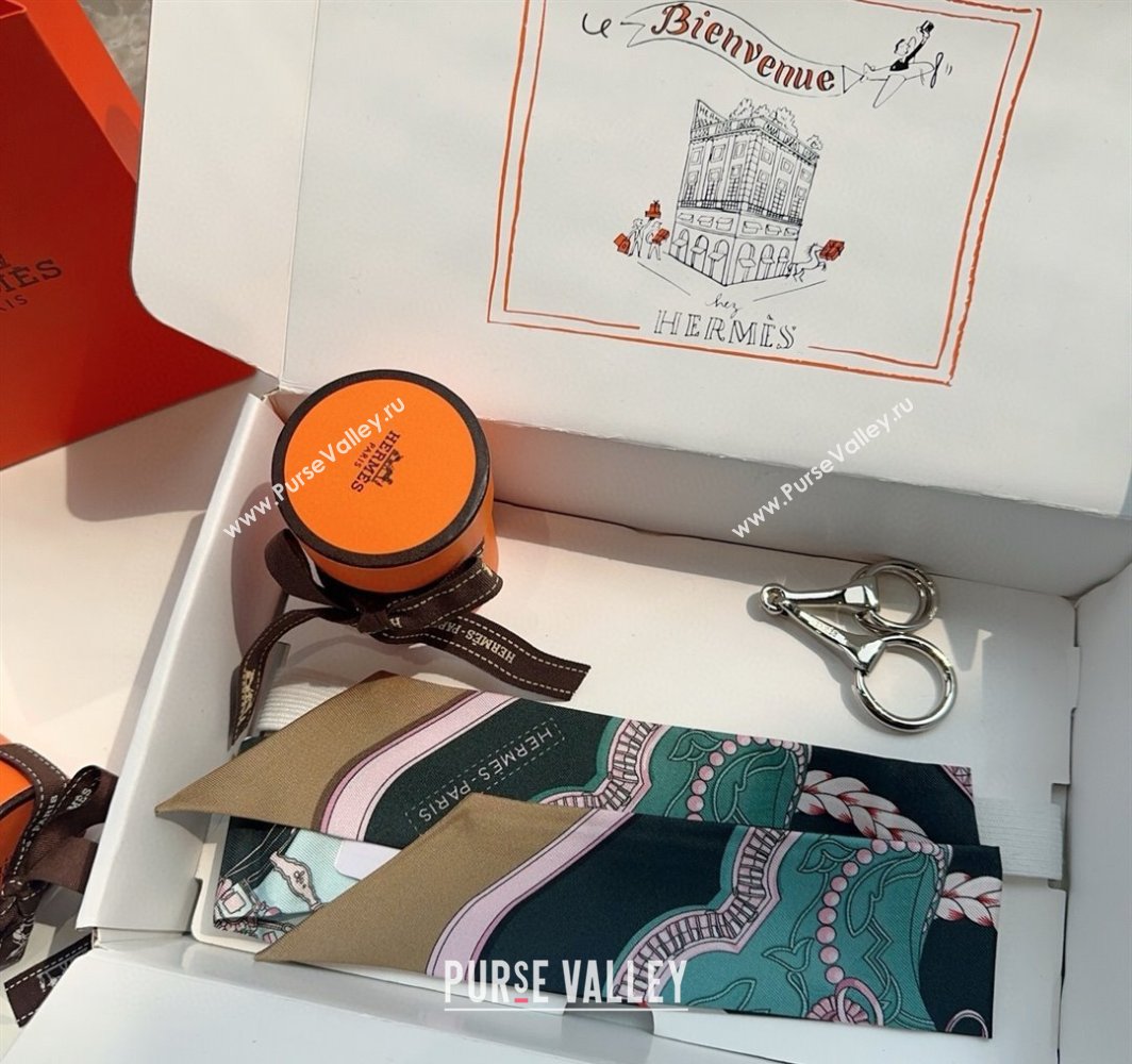 Hermes Feast Silk Twilly Bandeau Scarf 5x86cm Grey 2025 HS03184 (XMN-250318103)