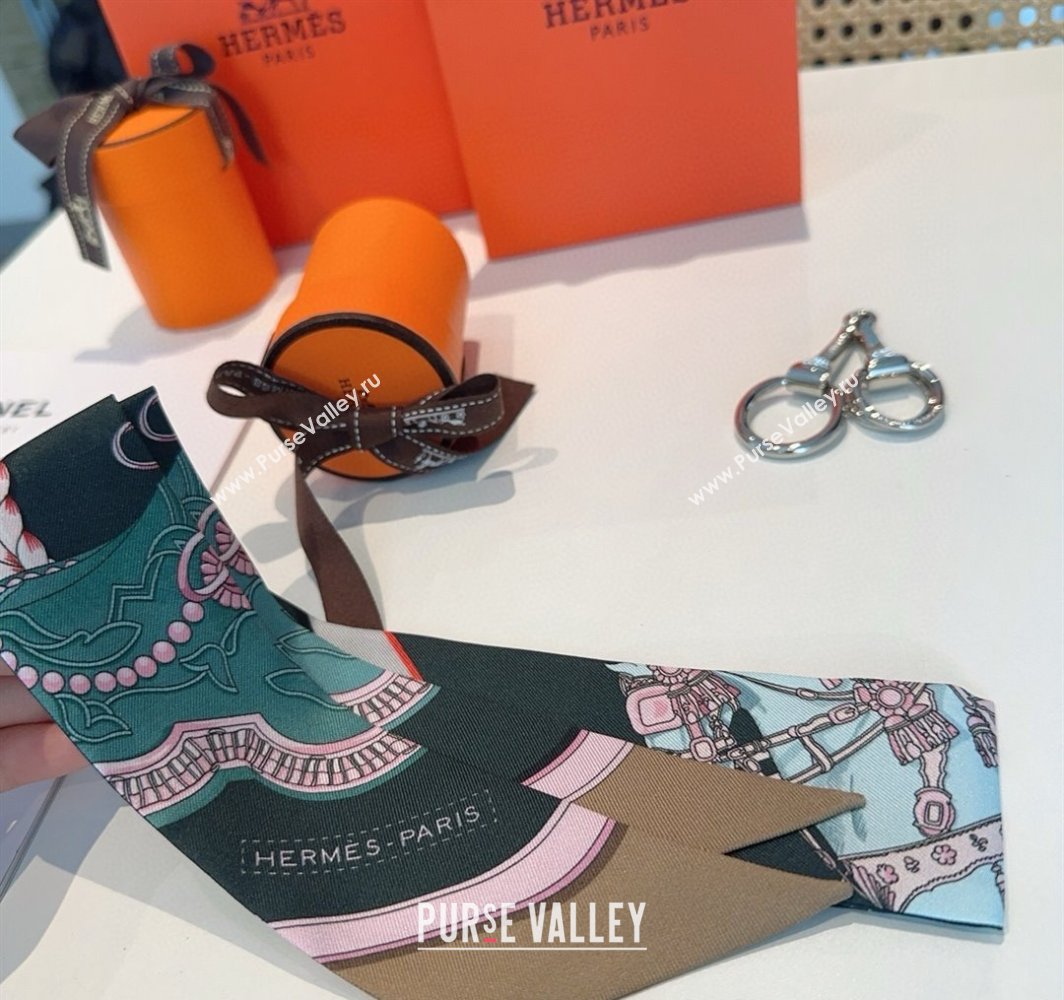 Hermes Feast Silk Twilly Bandeau Scarf 5x86cm Grey 2025 HS03184 (XMN-250318103)