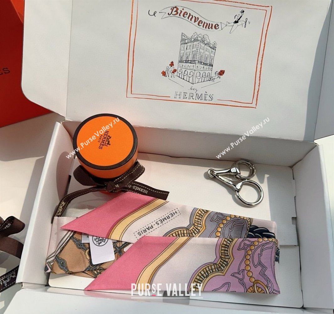 Hermes Feast Silk Twilly Bandeau Scarf 5x86cm Pink 2025 HS03184 (XMN-250318102)