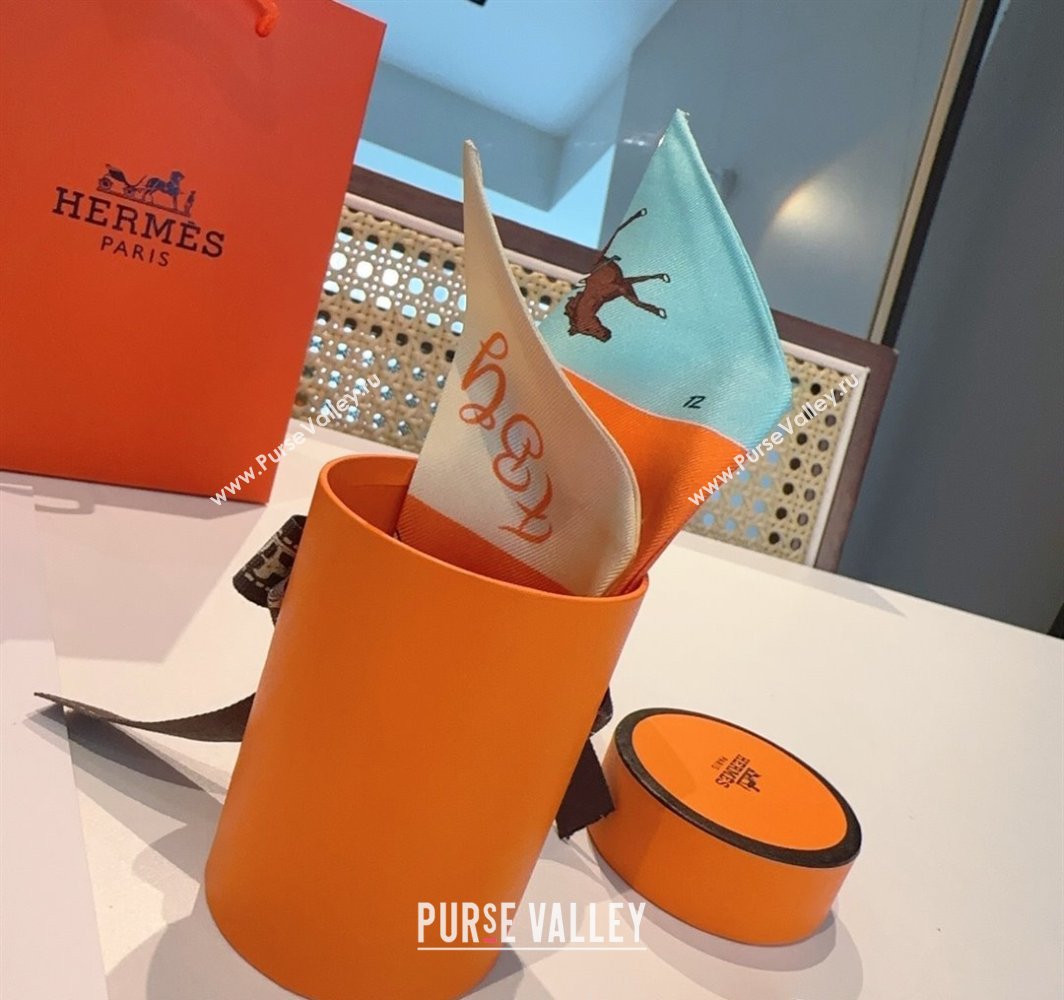 Hermes Hermes Parade Silk Twilly Bandeau Scarf 5x86cm Orange 2025 (XMN-250318140)