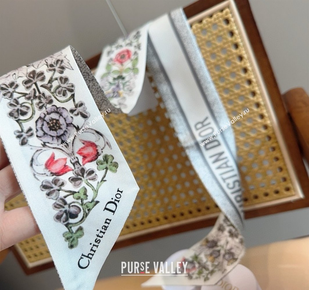 Dior Mitzah Silk Bandeau Scarf 6x100cm White 2025 DR03194 (XMN-250319011)