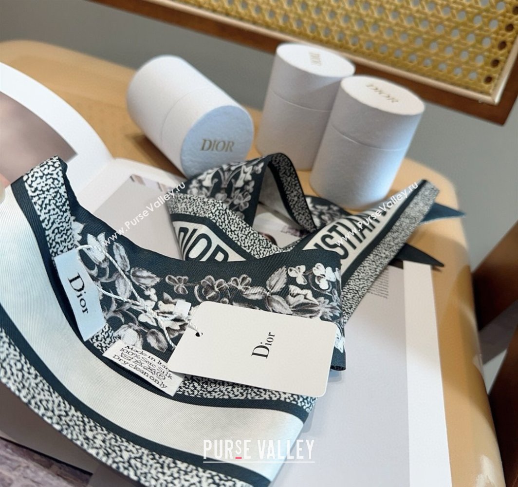 Dior Mitzah Silk Bandeau Scarf 6x100cm Black 2025 DR03194 (XMN-250319012)