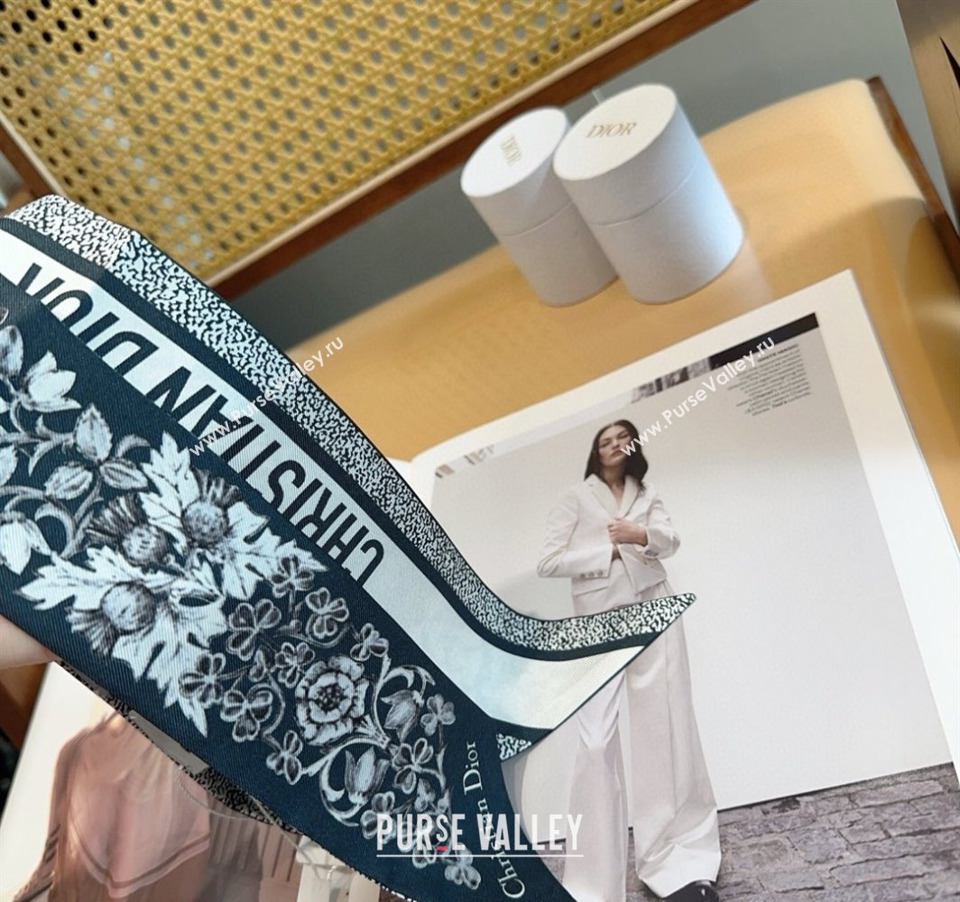 Dior Mitzah Silk Bandeau Scarf 6x100cm Black 2025 DR03194 (XMN-250319012)