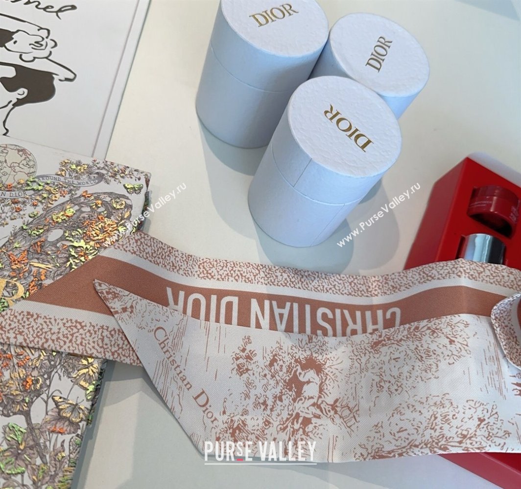 Dior Mitzah Silk Bandeau Scarf Pink 2025 DR03192 (XMN-250319004)