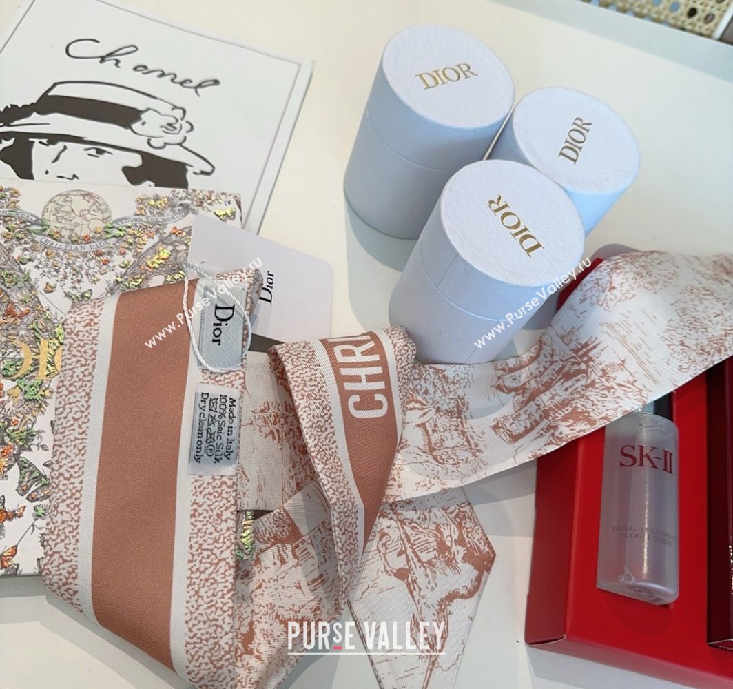 Dior Mitzah Silk Bandeau Scarf Pink 2025 DR03192 (XMN-250319004)