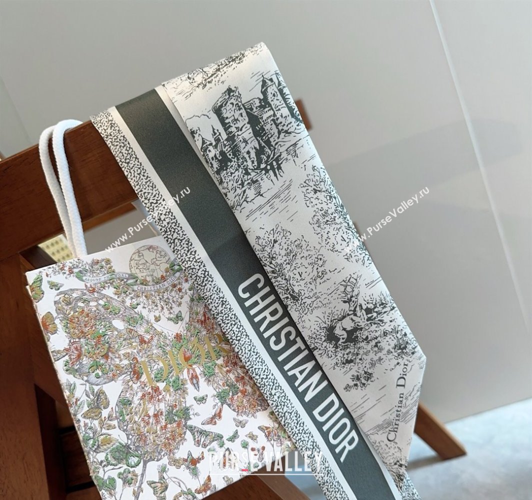 Dior Mitzah Silk Bandeau Scarf Grey 2025 DR03192 (XMN-250319005)