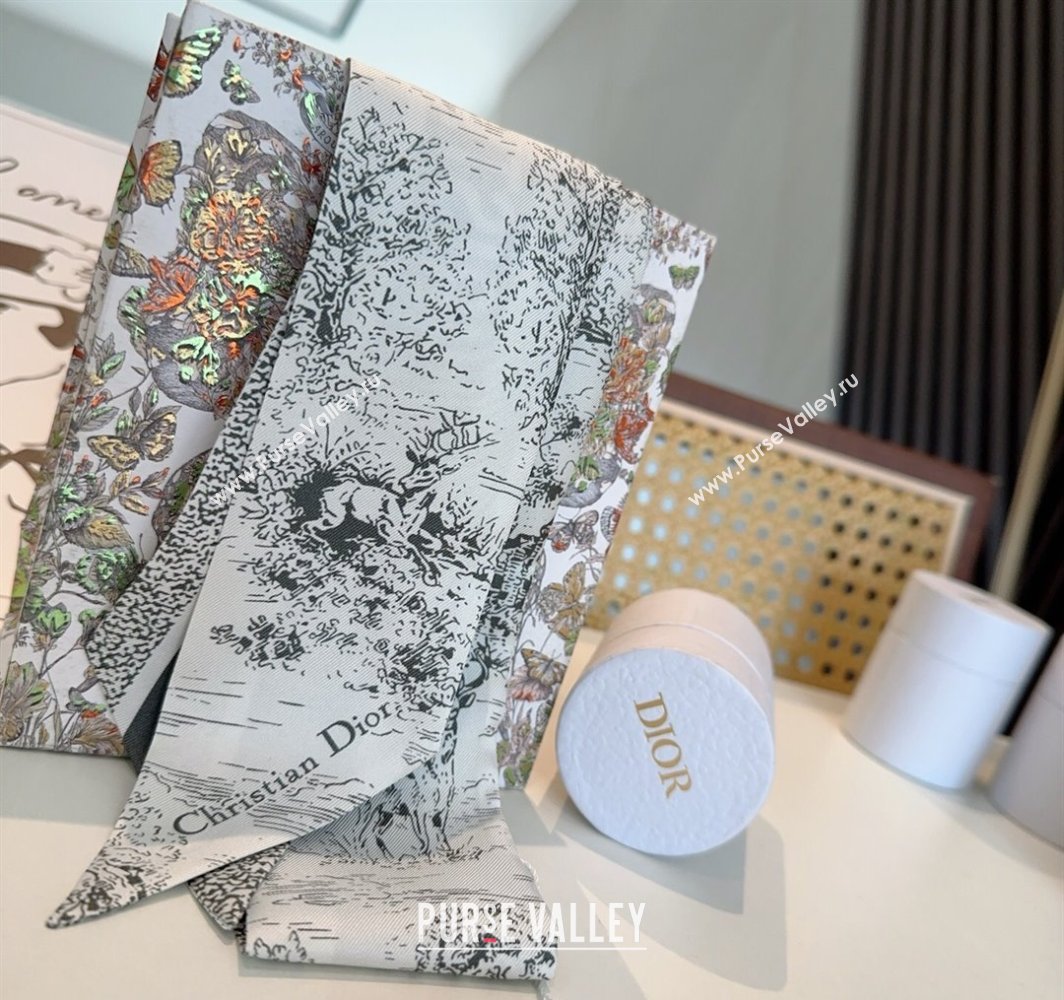 Dior Mitzah Silk Bandeau Scarf Grey 2025 DR03192 (XMN-250319005)