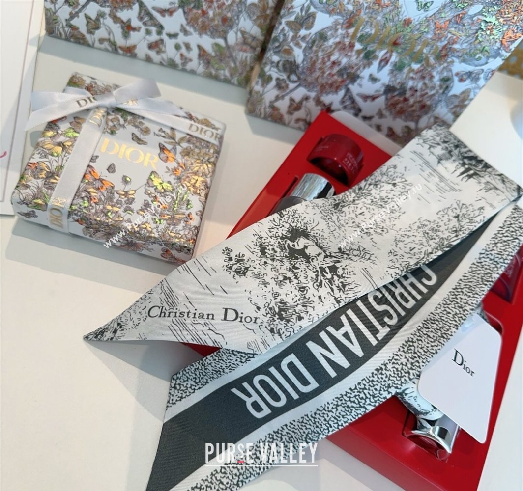 Dior Mitzah Silk Bandeau Scarf Grey 2025 DR03192 (XMN-250319005)