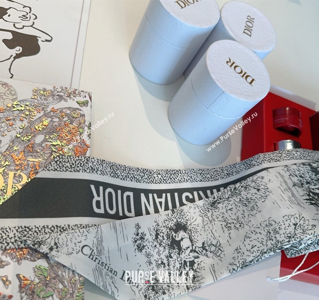 Dior Mitzah Silk Bandeau Scarf Grey 2025 DR03192 (XMN-250319005)