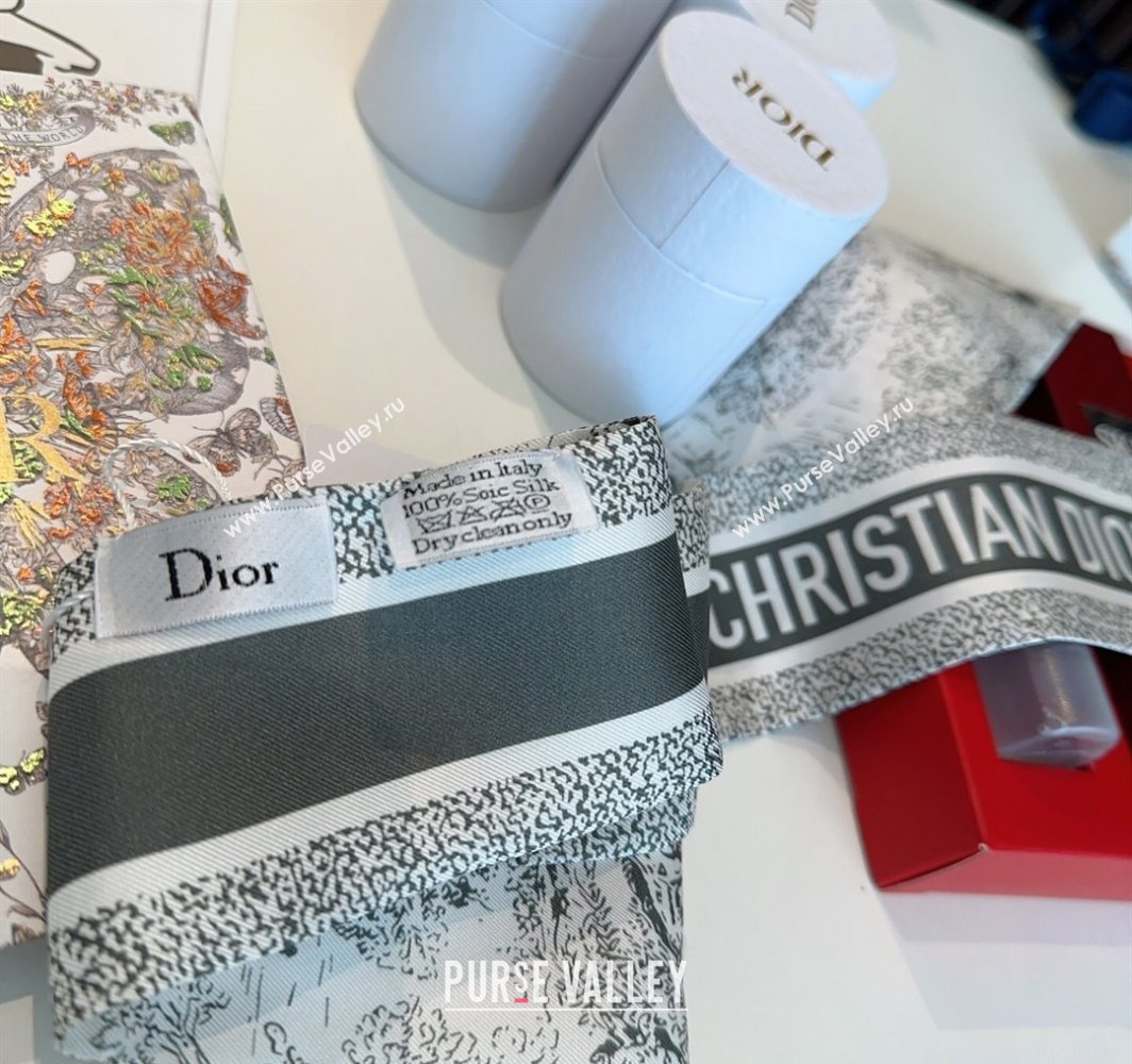 Dior Mitzah Silk Bandeau Scarf Grey 2025 DR03192 (XMN-250319005)
