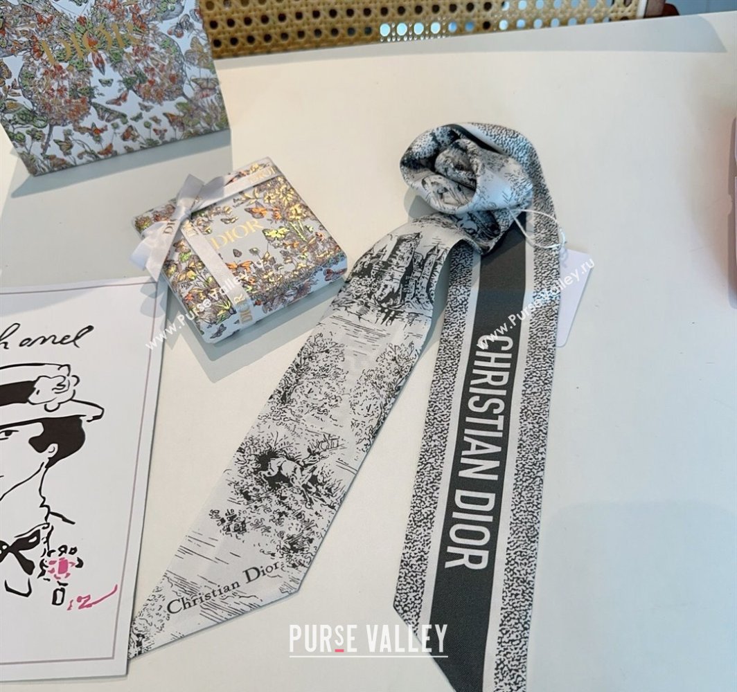 Dior Mitzah Silk Bandeau Scarf Grey 2025 DR03192 (XMN-250319005)
