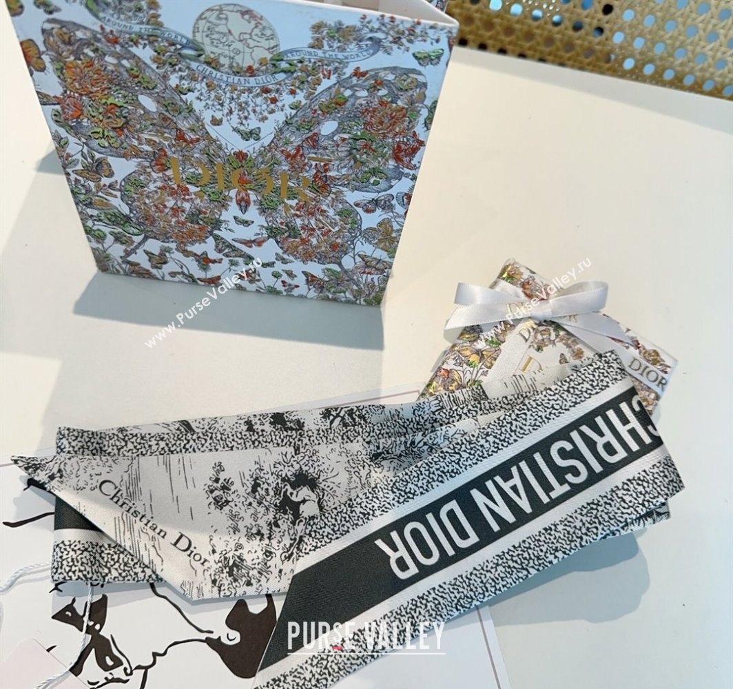 Dior Mitzah Silk Bandeau Scarf Grey 2025 DR03192 (XMN-250319005)