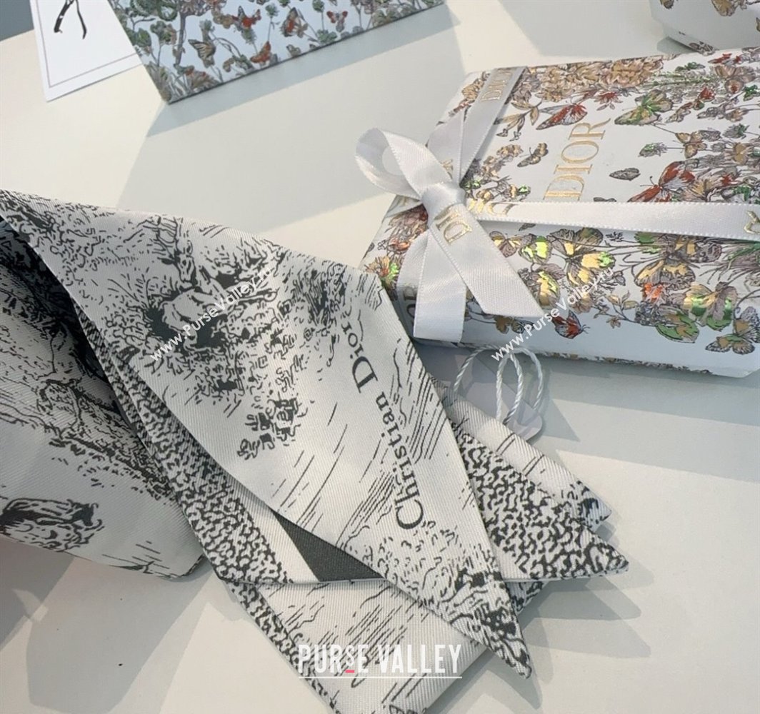 Dior Mitzah Silk Bandeau Scarf Grey 2025 DR03192 (XMN-250319005)
