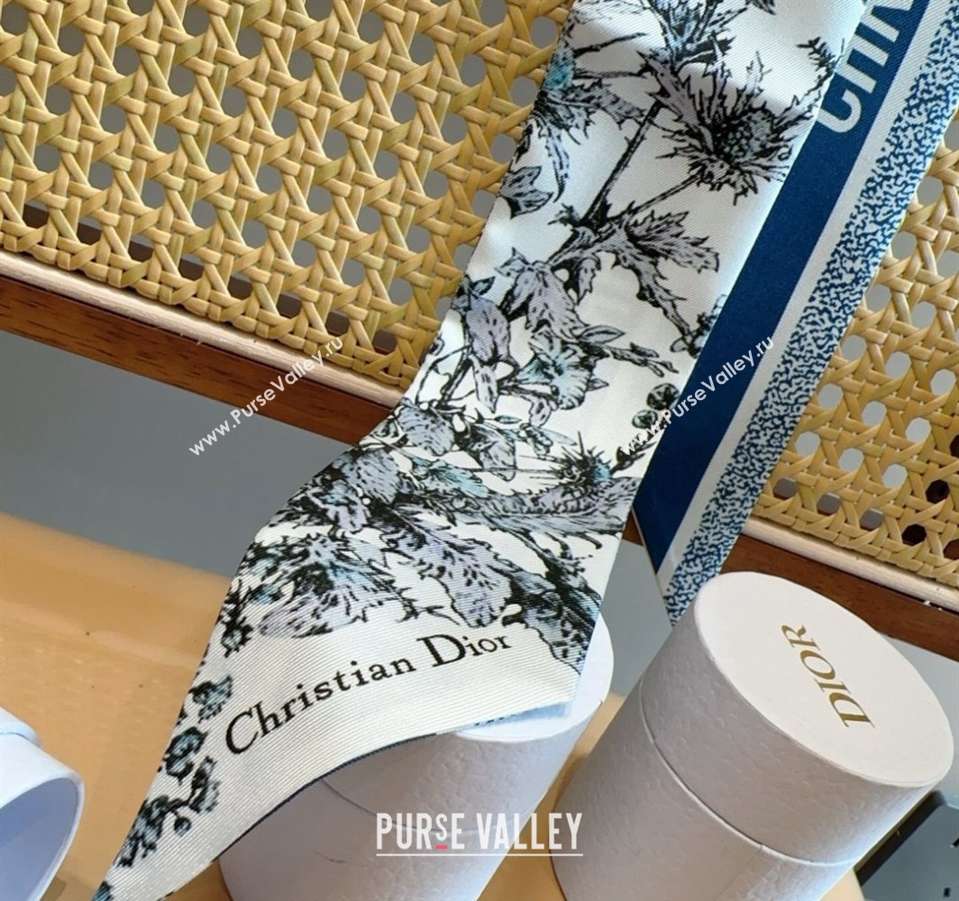 Dior Mitzah Silk Bandeau Scarf 6x100cm Blue 2025 DR03195 (XMN-250319013)