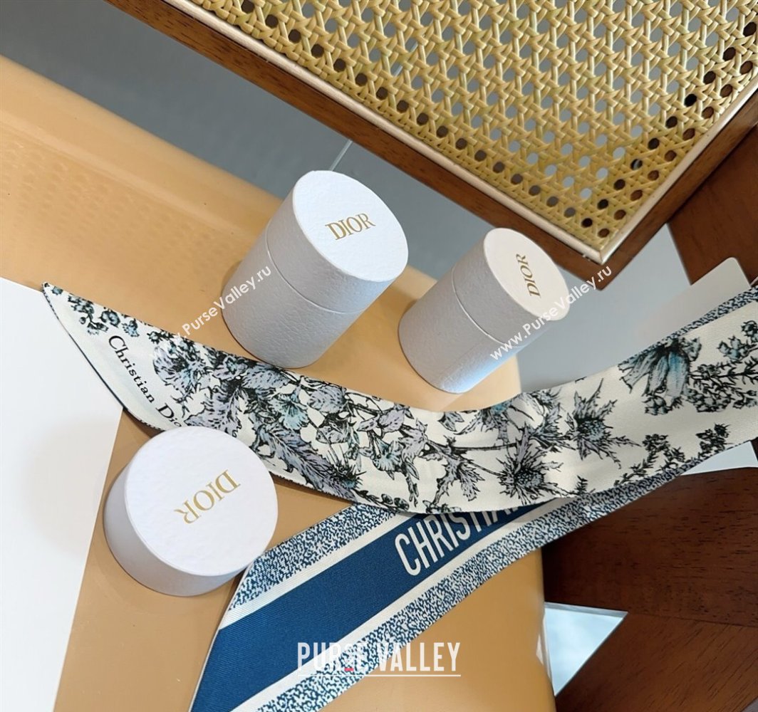 Dior Mitzah Silk Bandeau Scarf 6x100cm Blue 2025 DR03195 (XMN-250319013)