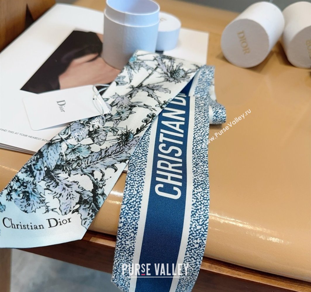 Dior Mitzah Silk Bandeau Scarf 6x100cm Blue 2025 DR03195 (XMN-250319013)