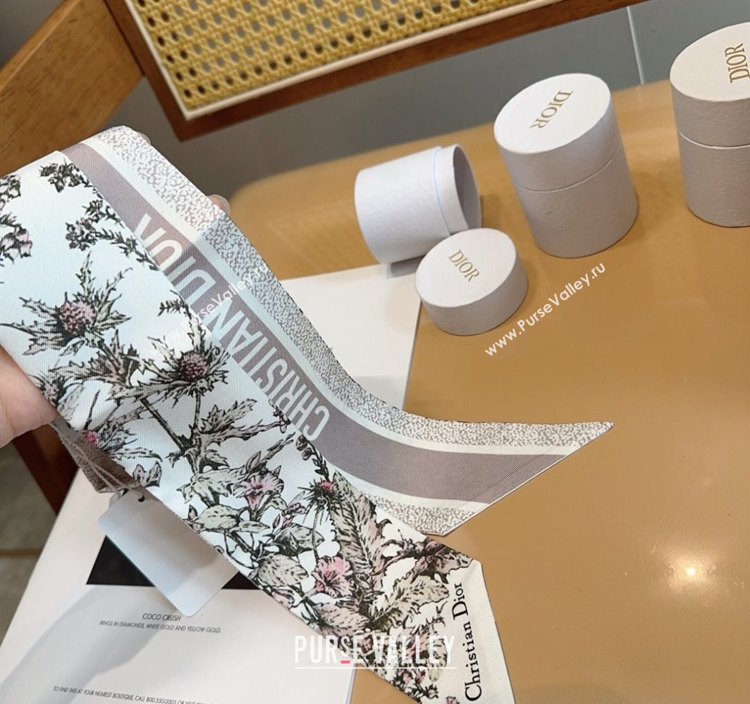 Dior Mitzah Silk Bandeau Scarf 6x100cm Pink 2025 DR03195 (XMN-250319014)