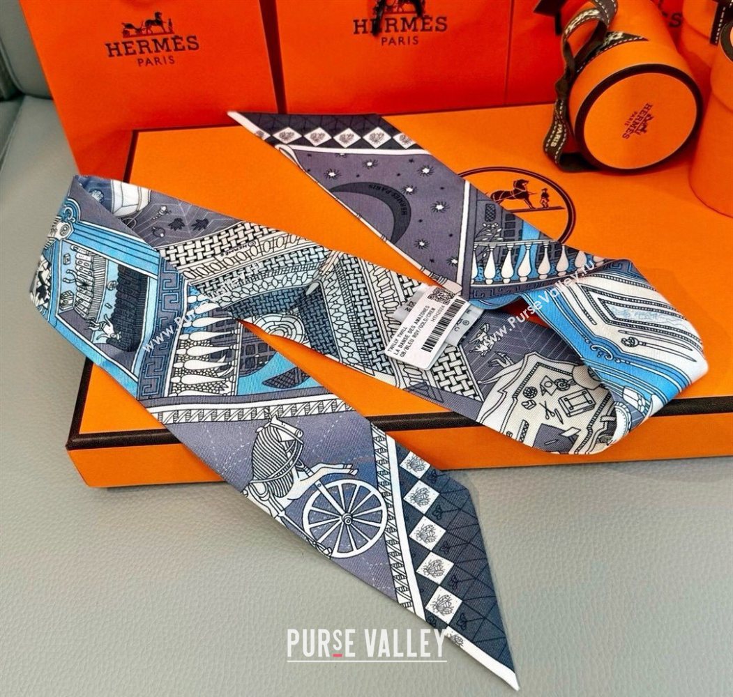 Hermes Precious Silk Twilly Bandeau Scarf 5x86cm Grey 2025 (SHI-250617070)