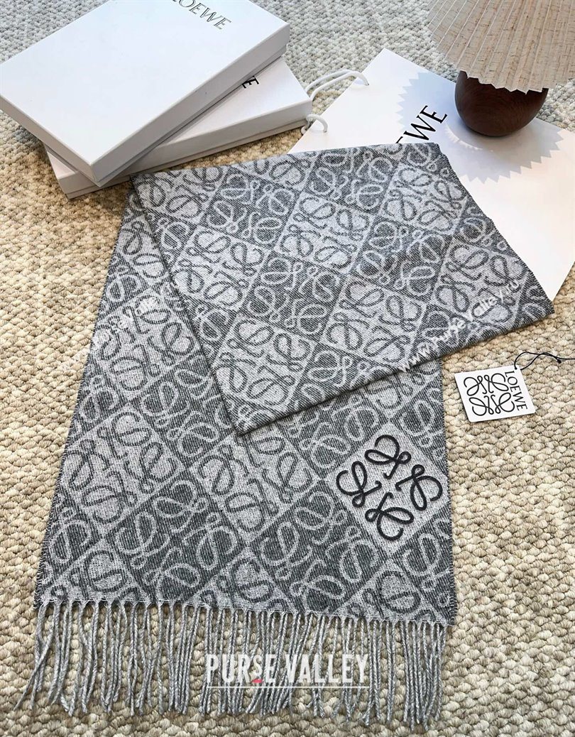 Loewe Cashmere Wool Long Scarf Grey 2025 LW091020 (XMN-250910060)