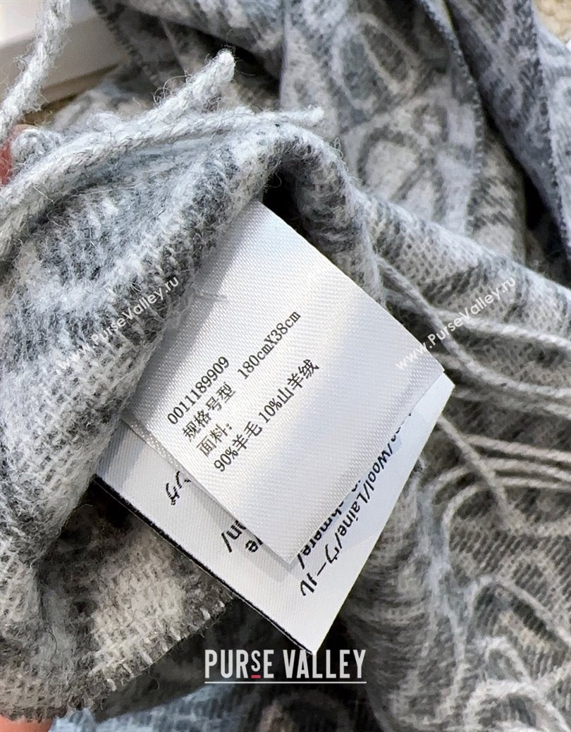 Loewe Cashmere Wool Long Scarf Grey 2025 LW091020 (XMN-250910060)