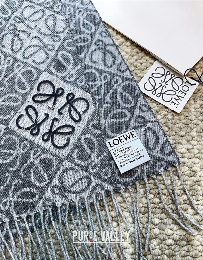 Loewe Cashmere Wool Long Scarf Grey 2025 LW091020 (XMN-250910060)
