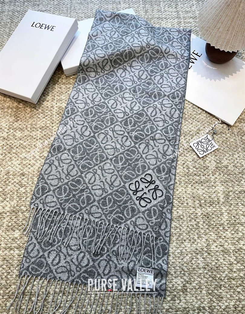 Loewe Cashmere Wool Long Scarf Grey 2025 LW091020 (XMN-250910060)