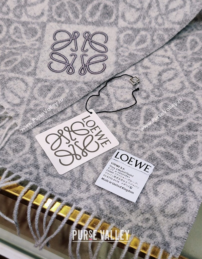 Loewe Anagram Cashmere Wool Long Scarf Blue 2025 LW091021 (XMN-250910063)