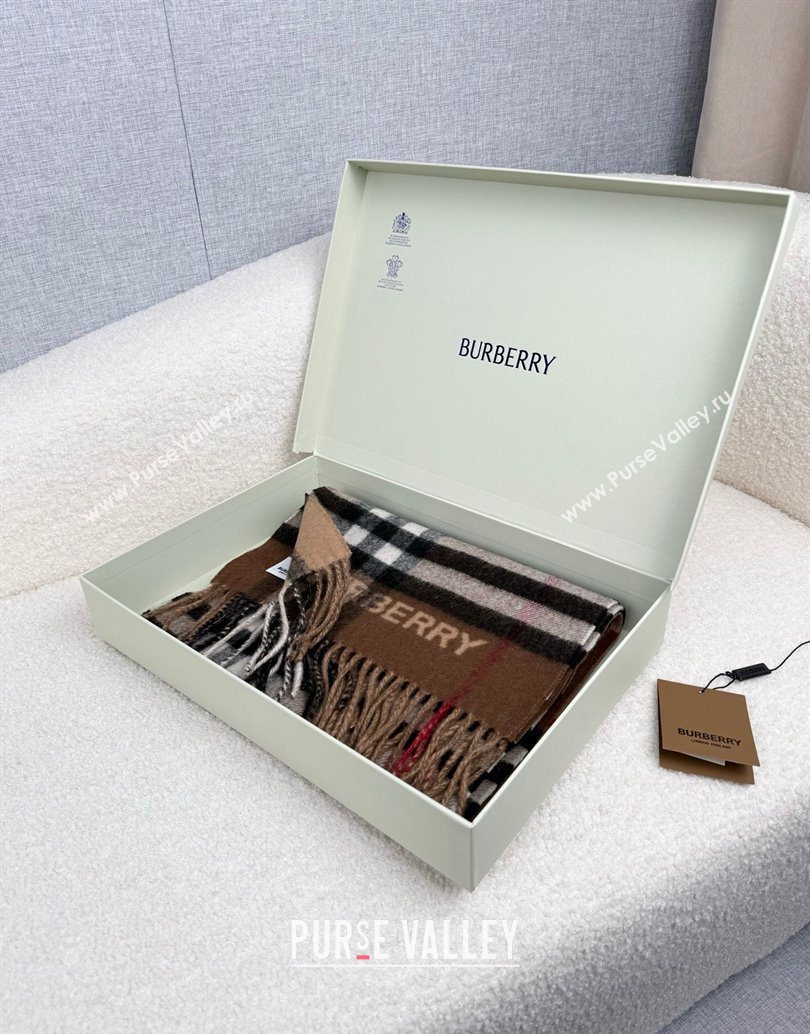Burberry Cashmere Long Scarf 30x168cm Brown 2025 BR111101 (XMN-251111129)