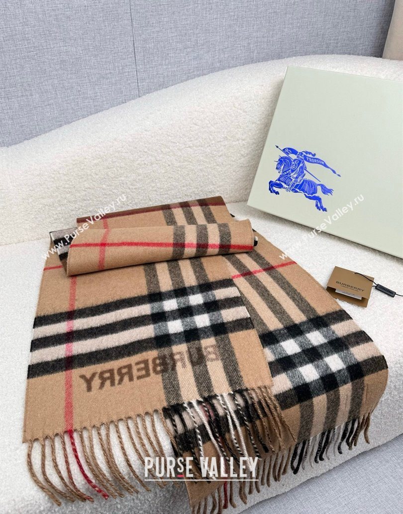 Burberry Cashmere Long Scarf 30x168cm Brown 2025 BR111101 (XMN-251111129)