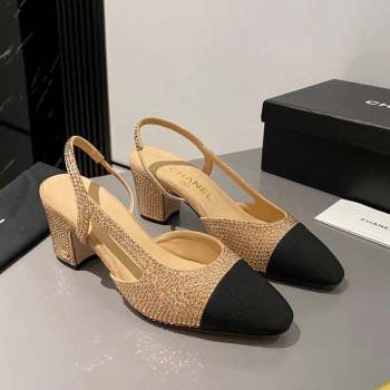 Chanel Crystals Suede Classic Slingback Pumps 6cm Beige 2023 CH10161 (MD-231016020)