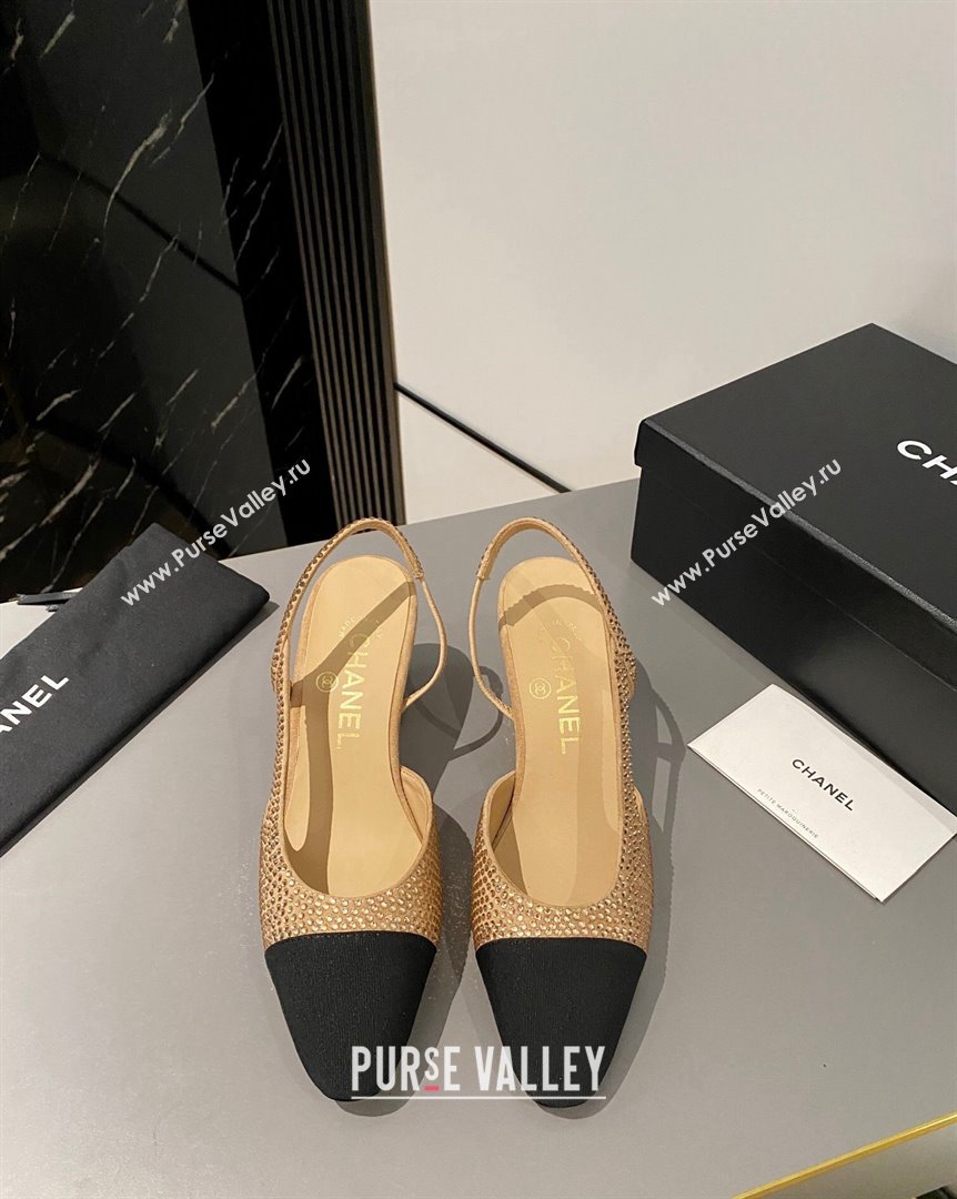 Chanel Crystals Suede Classic Slingback Pumps 6cm Beige 2023 CH10161 (MD-231016020)