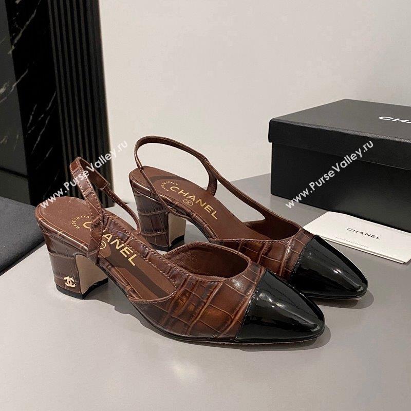 Chanel Stone Embossed Calfskin Classic Slingback Pumps 6cm Brown 2023 CH10161 (MD-231016024)