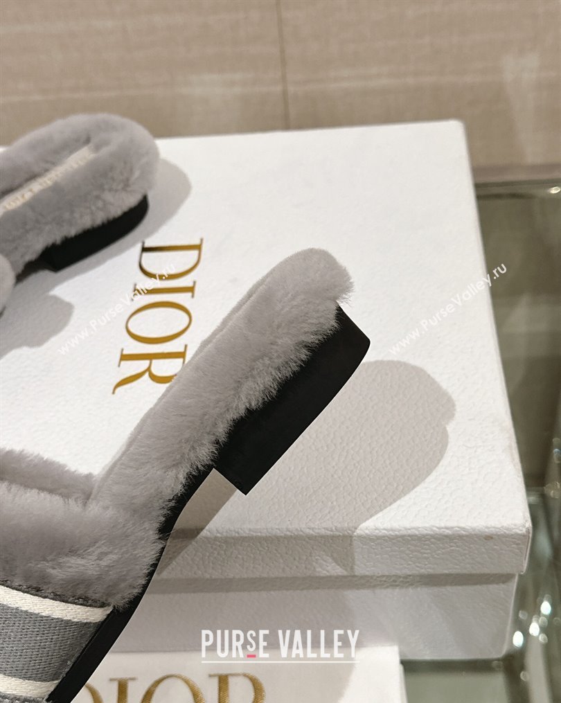 Dior Wool Flat Slide Sandals Grey 2023 DR10261 (MD-231026098)