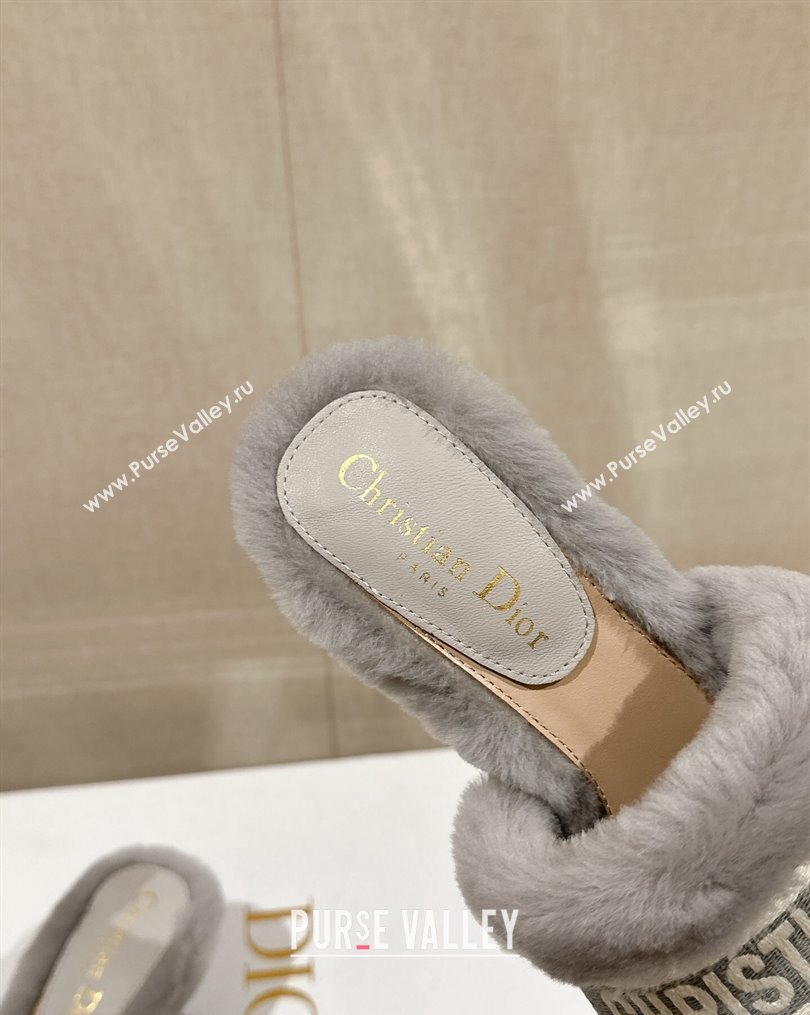 Dior Wool Heel Slide Sandals 6.5cm Grey 2023 DR10261 (MD-231026102)