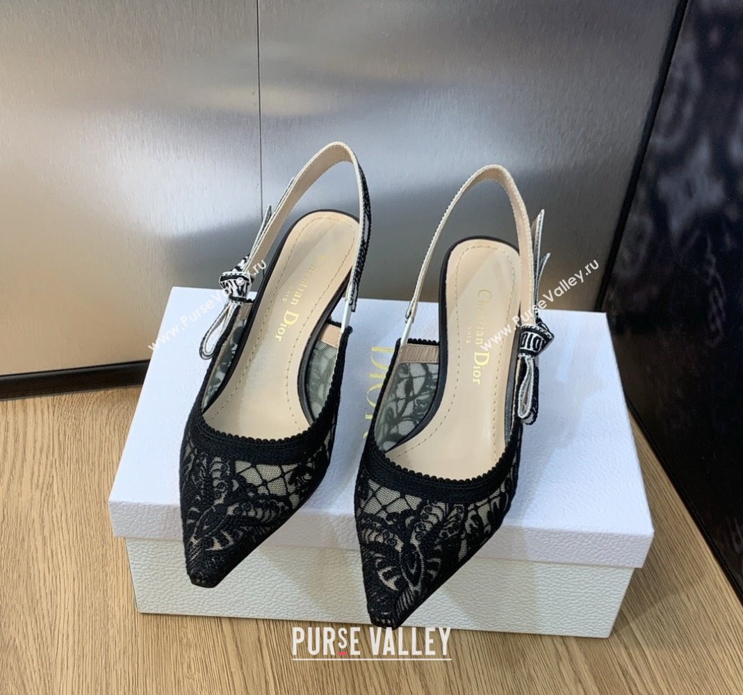 Dior JAdior Slingback Pumps 6.5cm in Transparent Mesh Embroidered with Black Butterfly Motif 2023 (MD-231202005)