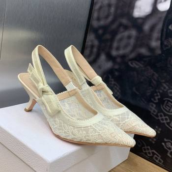 Dior JAdior Slingback Pumps 6.5cm in Transparent Mesh Embroidered with White Butterfly Motif 2023 (MD-231202011)